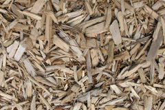 biomass boilers Llechryd